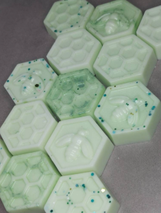 Monthly Subscription Box