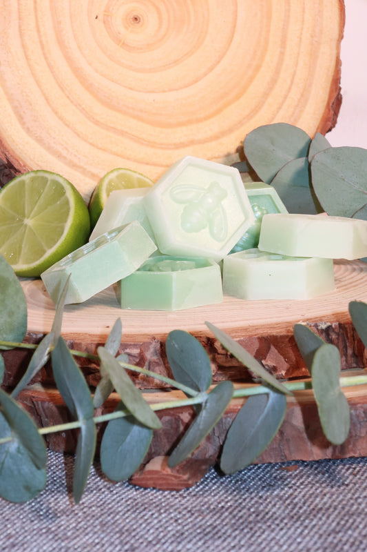 Wax Melts