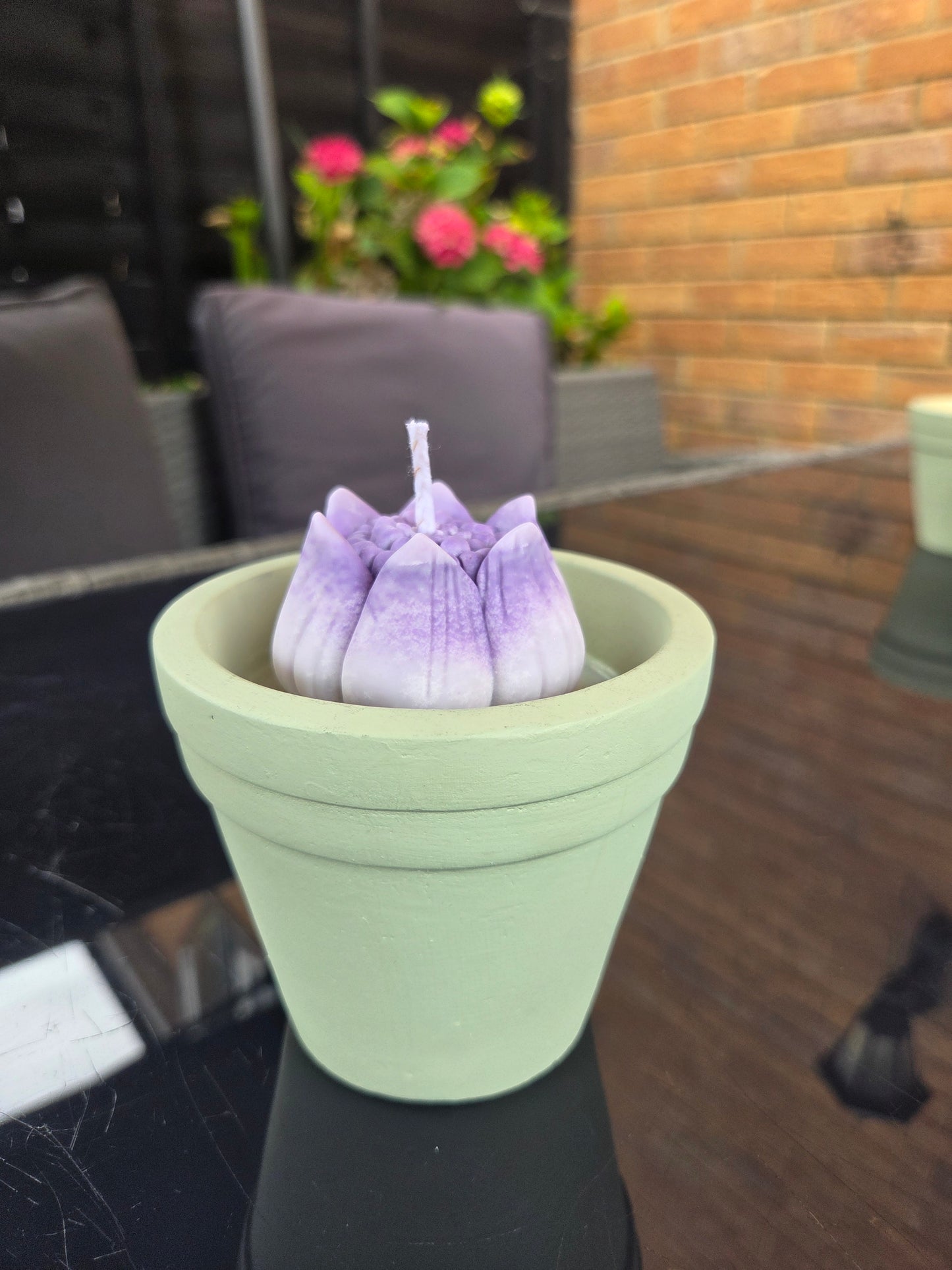 Citronella Garden Candle